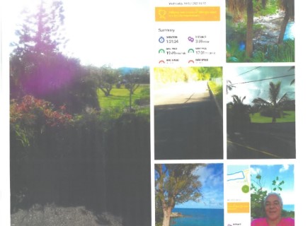 ibelieveinPINK2020 walker