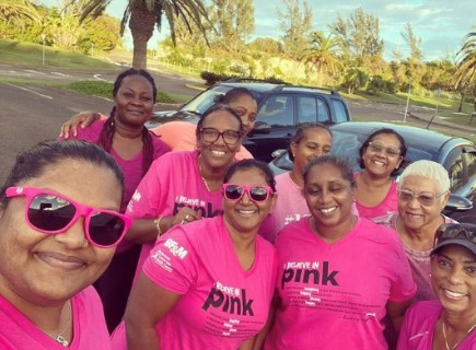 ibelieveinPINK2020 walkers