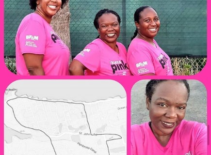 ibelieveinPINK2020 walkers