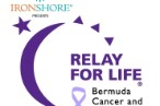 logo w ironshore