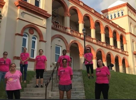 ibelieveinPINK2020 walkers