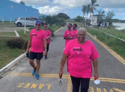 ibelieveinPINK2020 walkers