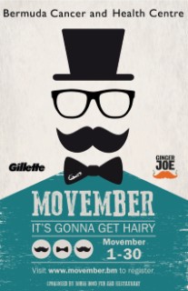 movember 2014