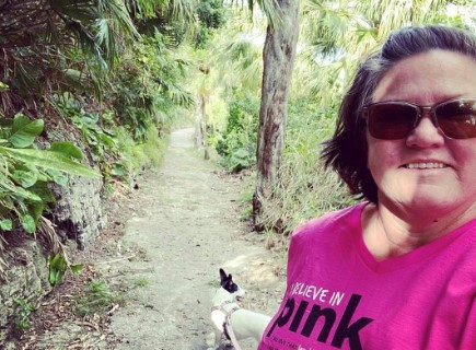 ibelieveinPink2020 walker